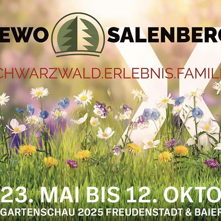 Fewo Salenberg Freudenstadt Exterior foto